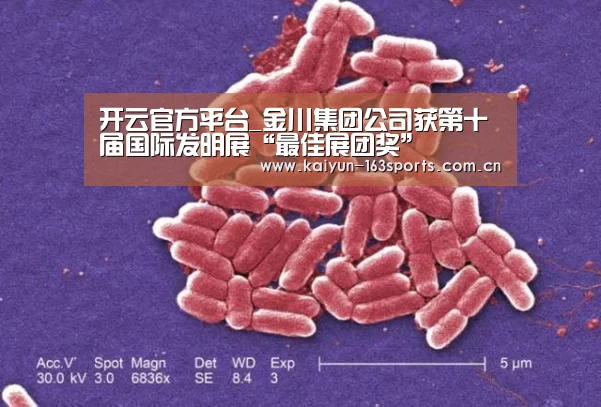 开云综合服务