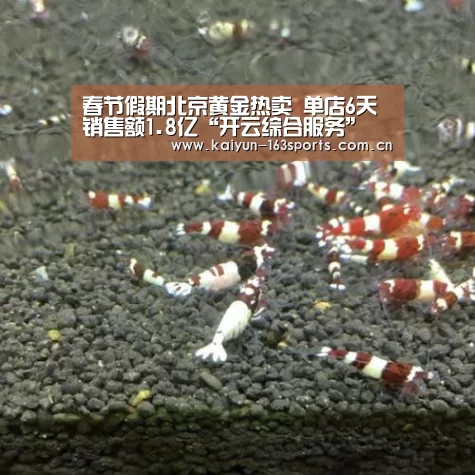 开云中国官网