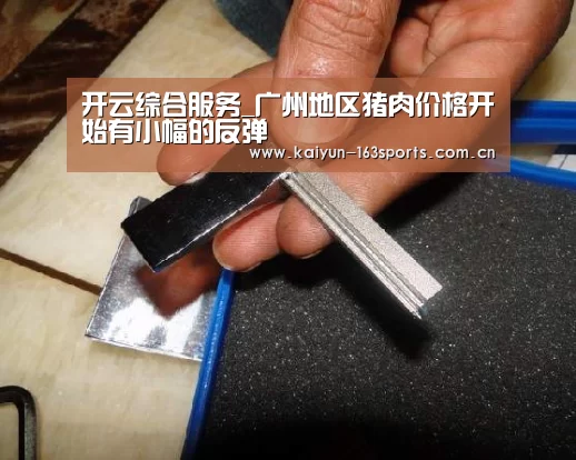 开云综合服务_广州地区猪肉价格开始有小幅的反弹(图2) 开云综合服务